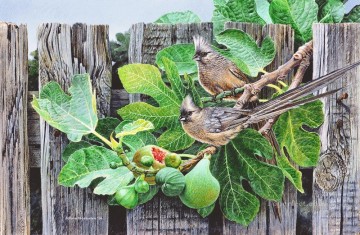  birds Oil Painting - speckled mouse birds